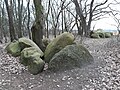 Großsteingräber auf der Buschhöhe; een ganggraf en een Großdolmen op 12 meter afstand van elkaar