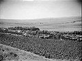 Ein Harod 1930