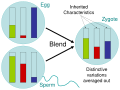 Image 3Blending Inheritance (from History of genetics)