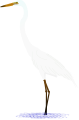 Great Egret