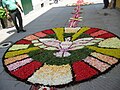 Infiorata realizzata a Pievepelago nel 2007