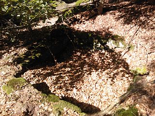 Ein Brunnenrest am westlichen Hang unterhalb des Jagdschlosses