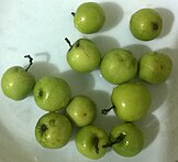 Jujube fruit