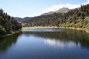 Temperate highland climate with dry season (Cwb) in Cordillera de Mérida