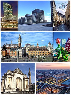 From top to bottom, left to right: the Lille Tower, some towers of Euralille, the Rue de la Clef in Old Lille, the Place du Général-de-Gaulle, the Shangri-La tulip sculpture for Lille 2004, the Porte de Paris with the belfry of the City Hall and Lille-Flandres train station