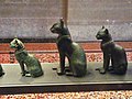 Bastet Cats, Room 19