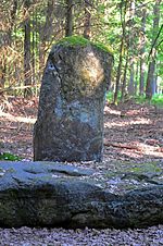 Nusbaumer Menhire – stehender Menhir