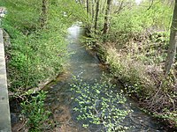 Hochspeyerbach-Mündung von links in den Speyerbach