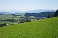 Stellenweise gibt es Ausblicke auf die Allgäuer Alpen, hier bei Ermengerst. Der Allgäu-Radweg durchfährt den Ort ebenfalls auf der Bahntrasse.