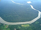A river in the Amazon.