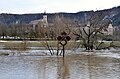 Donau Hochwasser