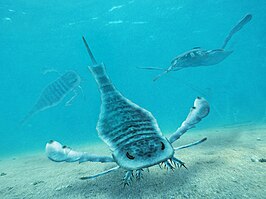 Eurypterus