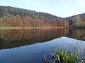 Herbstliche Spiegelungen im Haunesee