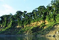 Nationalpark Manú