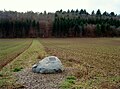 Der Findling markiert den geografischen Mittelpunkt des Kantons Schaffhausen.