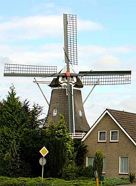 De Arend gefotografeerd vanaf de straat erachter