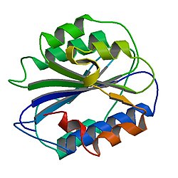 Von-Willebrand-Faktor