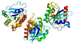 ADP-ribosylation factor-like protein 6