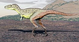 A Raptorex fiatal példányának művészi rekonstrukciója