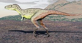 Raptorex