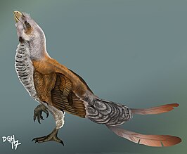 Sinornis