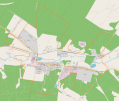 Mapa konturowa Stąporkowa, blisko centrum po lewej na dole znajduje się punkt z opisem „Parafia Wniebowzięcia NMP”