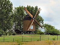 Bockwindmühle Hohenwarthe