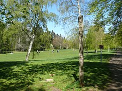 Volkspark Rehberge