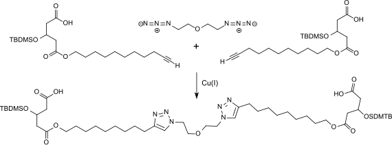 Bola-bis-Triazol aus 10-Undecinol