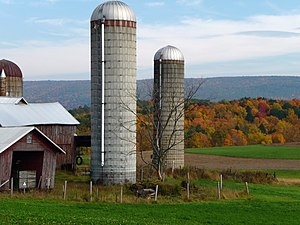 Dairy farm in Brunswick