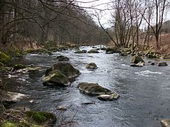 Chemnitzfluss bei Schweizerthal