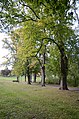 Stadtpark auf dem ehemaligen Wall der Stadtbefestigung