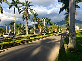 Die Avenida Las Palmas in Fusagasugá