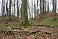 Die Burghügel der Doppelburg, Blick von Nordwesten