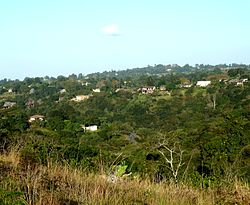 Kloof vom Naturreservat Krantzkloof gesehen