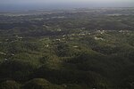 View of mogotes along the Northern karst zone of Puerto Rico.