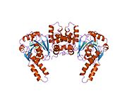 3had: BIOCHEMICAL CHARACTERIZATION AND STRUCTURE DETERMINATION OF HUMAN HEART SHORT CHAIN L-3-HYDROXYACYL COA DEHYDROGENASE PROVIDE INSIGHT INTO CATALYTIC MECHANISM