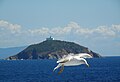 L'isola, alle spalle di un gabbiano