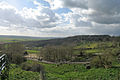 Port Lympne Wild Animal Park