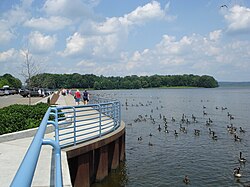 View of Pymatuning Reservoir in Pine Township