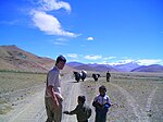 Joining a small yak caravan (photo by Sam/Laura)