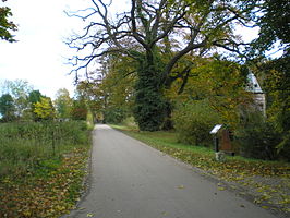 Wickenburghseweg met rechts de duiventoren van voormalig kasteel Wickenburgh