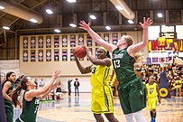 Women's basketball game