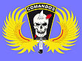 Commando badge