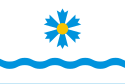 Vlag van de gemeente Tartu vald