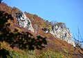 Großer Vogelfels, Oberer Berg