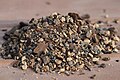 Commercial bonsai soil mix