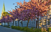 Rådhusgata with Kristiansand Cathedral in the background