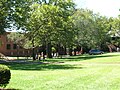 A view of Stevens Institute of Technology during 2007 Freshman Orientation.