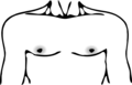 13.34, 27 Ocak 2015 tarihindeki sürümün küçültülmüş hâli